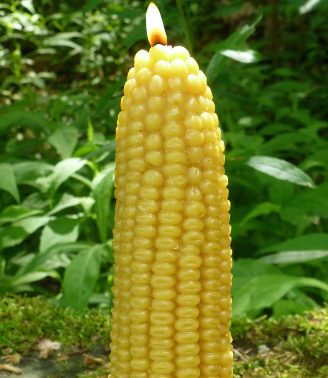 Corncob